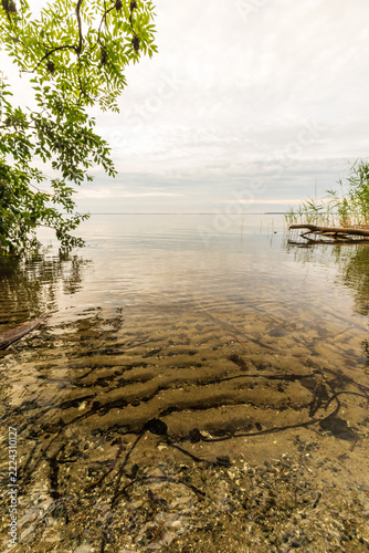 Die Natur an der Müritz in Mecklenburg-Vorpommern im Sommer