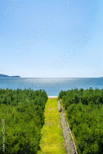 高田松原　海を望む場から眺める広田湾の海景色