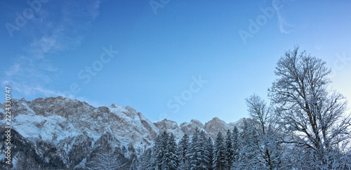 Winter trees and snow covered Alps mountains in the Austrian.