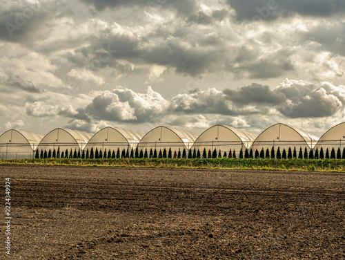 Row Of Greenhouses On Agricultural Field Under Dramatic Cloudy Sky For Commercial Horticulture
