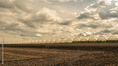 Row Of Greenhouses On Agricultural Field Under Dramatic Cloudy Sky For Commercial Horticulture