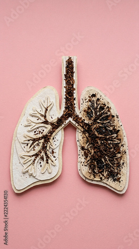Abstract representation of lungs filled with dark material symbolizing pollution or disease on a pink background