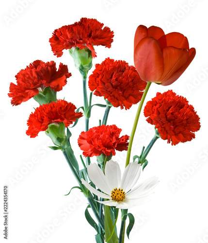 Bright flowers arranged together in a simple bouquet with red carnations, a red tulip, and a white daisy isolated on transparent background, PNG file