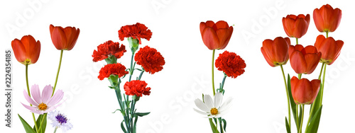 Bouquets of flowers with red tulips, red carnations, and white daisies arranged isolated on transparent background, PNG file