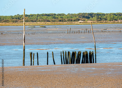 Douce Vendée