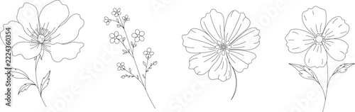 Minimalist botanical line art set with delicate hand drawn wildflowers, simple floral vector illustration isolated on white background