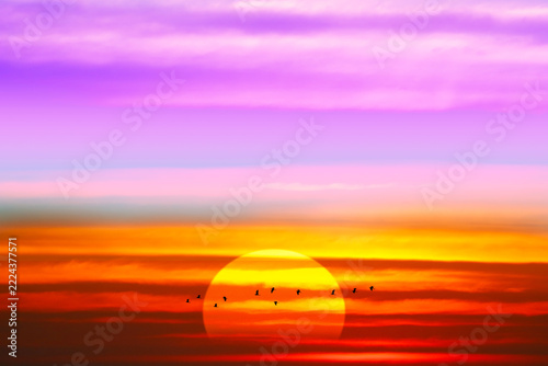 sunset colorful purple pink with silhouette bird flying back home on middle frame