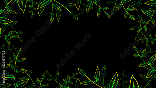 young glow lanceolate leaves green yellow full border and lot on the black screen