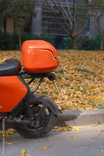 In autumn, fallen leaves in the community covered the grassland.