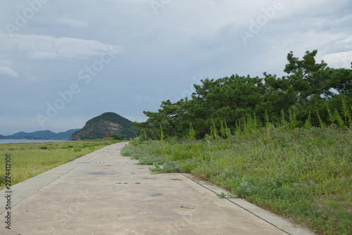 Coastal path beside pine trees with a green mountain and cloudy sky at Ariake Beach, Kagawa, Japan