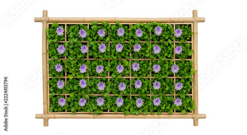 Vertical garden wall with bamboo frame and purple flowers.