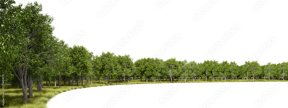 Fototapeta premium Forest trees curve landscape panoramic cutout transparent backgrounds 3d render png