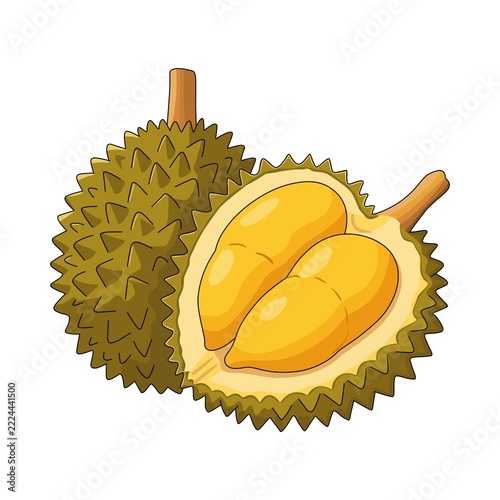 Fotografie Colorful illustration of a whole and halved durian fruit, featuring a spiky green-brown husk and rich golden-yellow flesh, isolated on a white background
