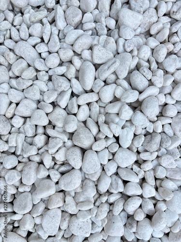 White Pebbles Covering the Ground in a Repeating Natural Pattern