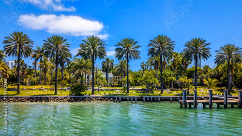 Beautiful Florida coastline with green vegetation and palm trees
