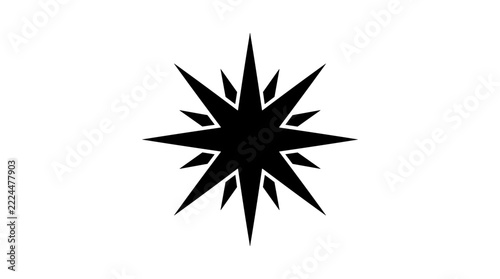 Black abstract starburst graphic on white background.