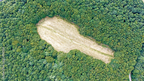 Aerial view of The contra Green Cathedral land art installation shaped like the Reims Cathedral floor plan, surrounded by dense forest in Almere, Flevoland, Netherlands.