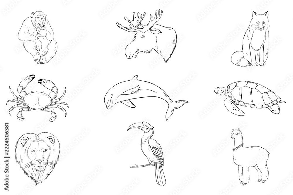 Naklejka premium Png animal sticker set black and white
