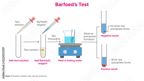 Barfoed Test for Monosaccharides Diagram Showing Brick Red Precipitate Result