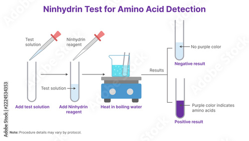 Ninhydrin Test for Amino Acid Detection Diagram Showing Ruhemann Purple Color Result