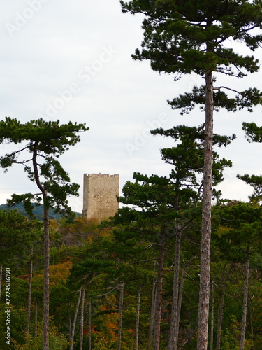 Bergfried der Burgruine Rauheneck im Föhrenwald, Baden bei Wien 
