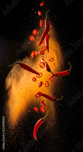 Close-up of a colorful fish with distinct red and yellow patterns swimming in dark waters