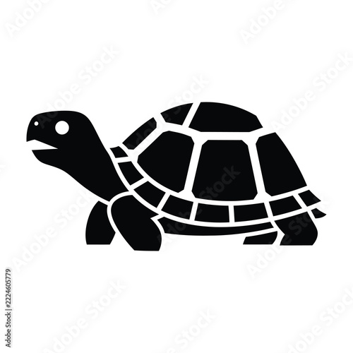 Black silhouette turtle on white background animal reptile shell