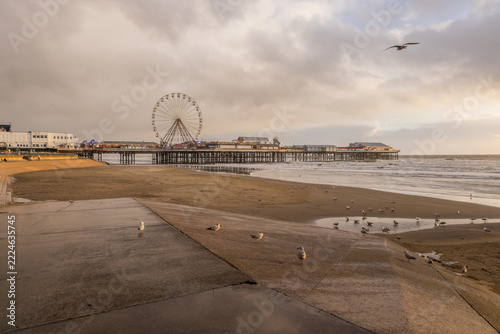 blackpool-central-pier-gulls-on-beach
