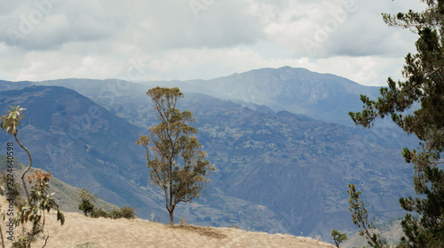 Vista panorámica de cordillera andina con árbol en ladera seca y cielo nublado