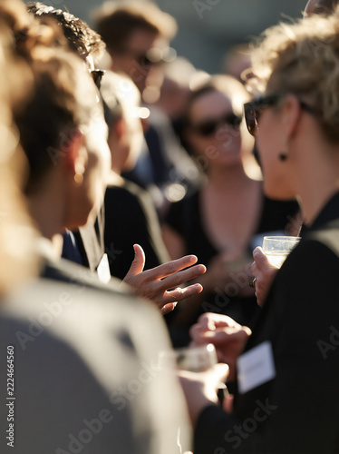 Social gathering with guests talking over drinks in a sunlit close conversation