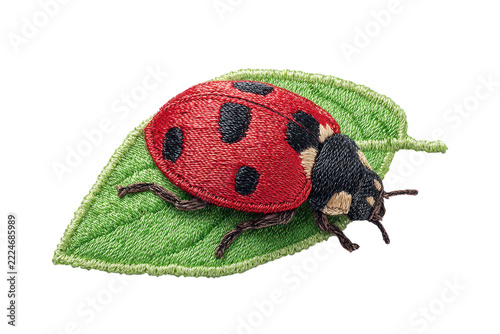 Ladybug patch detailed embroidered nature insect