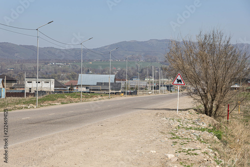 Rural road with traffic sign, streetlights, and mountain background, Almaty region