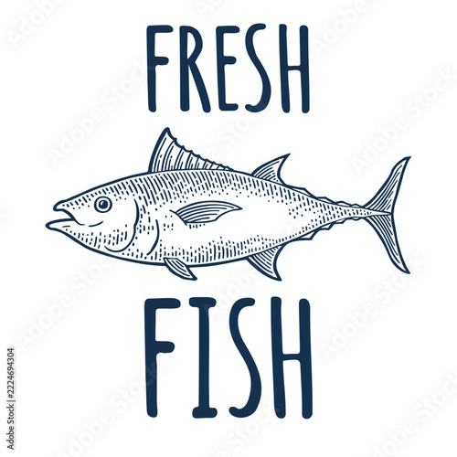Fresh Fish typography vector label with hand drawn tuna illustration in vintage engraving style on white background. Poster concept for seafood market or restaurant.