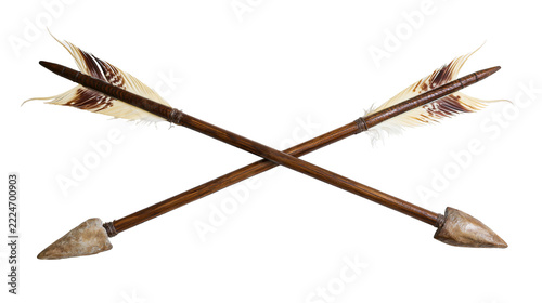 Obraz na plátně Isolated two primitive wooden arrows with feathered fletching and ancient stone
