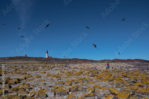Tourists observing wildlife, Penguin Island ,Puerto Deseado, Santa Cruz Province, Patagonia Argentina