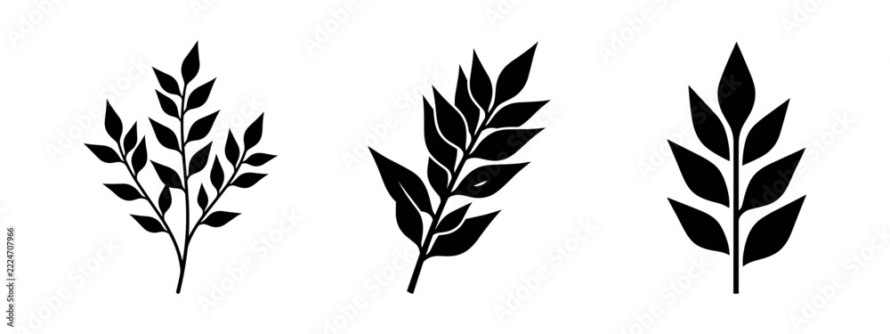 Fototapeta premium Set of generic leafy branches icons. Black silhouettes of various plant foliage for natural design elements.