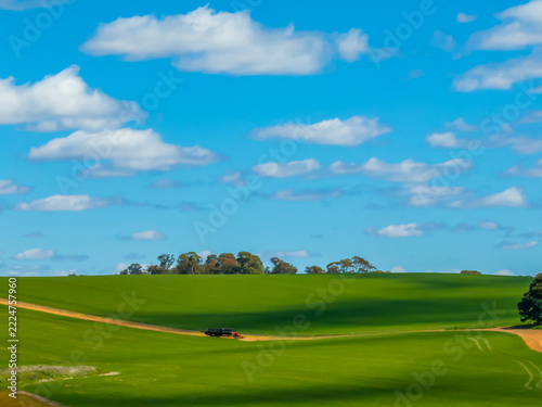 Spring Canola Crop in the NSW Central West Countryside