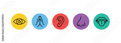 The Five Senses Iconography: A visual representation of the five primary human senses – sight, smell, hearing, taste, and touch – depicted as simple, colorful icons.
