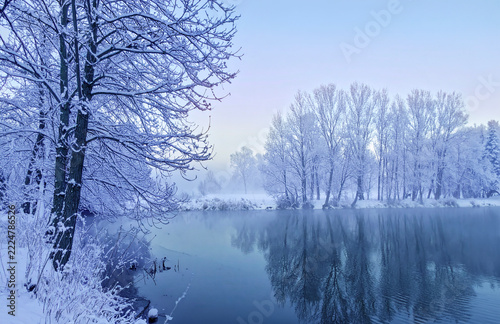 湖と林の雪景色