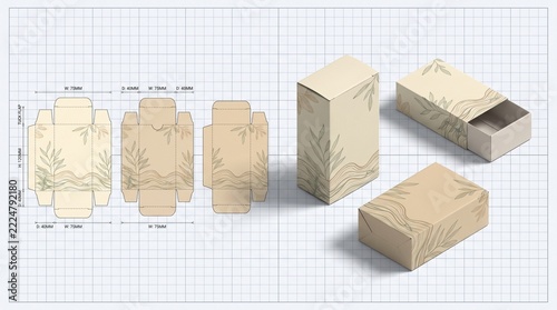 Packaging Box Dieline Template with Dimensions and 3D Mockup Layout