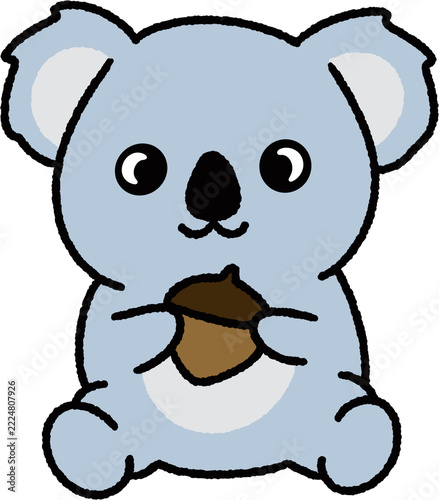 Koala / Cute koala