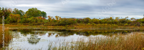 Scenic panoramic view of a calm marsh pond surrounded by autumn foliage under an overcast sky
