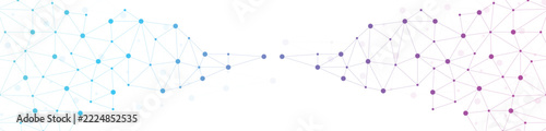 Abstract colorful plexus network background with cyan blue and purple magenta gradient. Geometric connecting lines and dots forming polygonal mesh on white. Digital technology data communication.