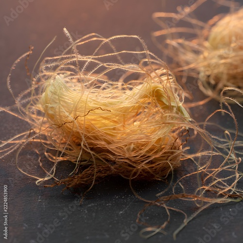 Macro Photograph of Natural Corn Silk Strands Tangled Across a Matte Charcoal Surface, Organic Botanical Texture Study