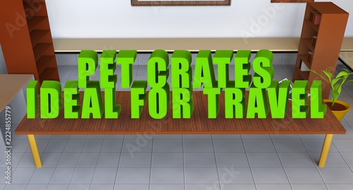 Fotografie pet crates ideal for travel is displayed in bright green 3D bevel text on a wood
