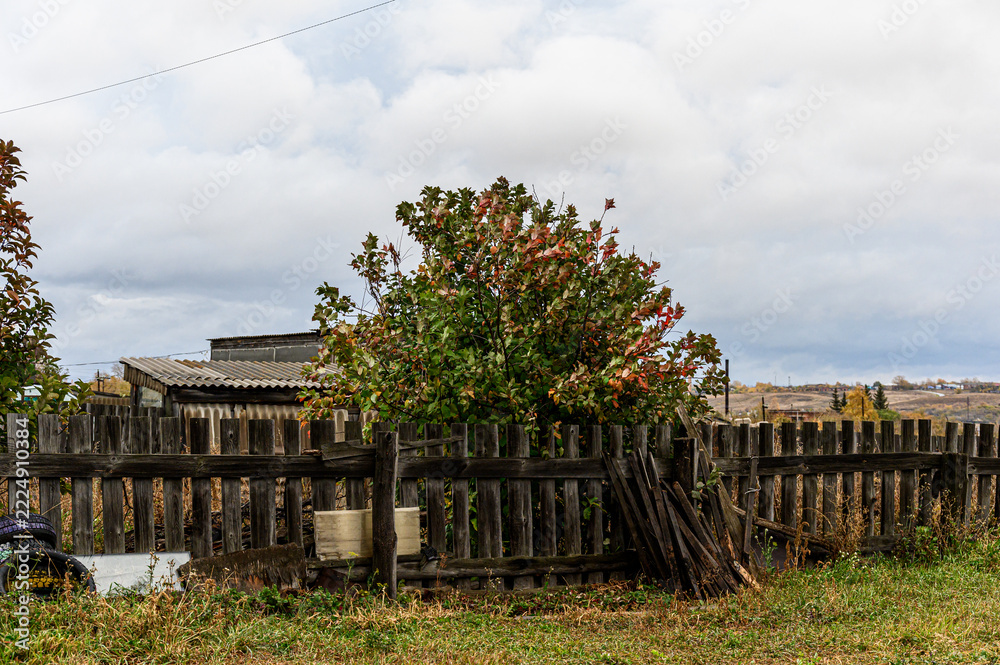 Fototapeta premium Rustic wooden fence enclosing rural plot, weathered planks, bush with reddish foliage, modest buildings, overcast sky, dry grass foreground