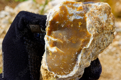 Brown chalcedony chert specimen held in hand, featuring a rough limestone crust, discovered during geological exploration at an industrial quarry site for rock and mineral collection