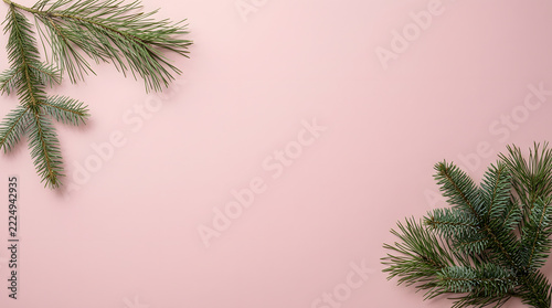 Christmas pine tree branches frame on pastel pink background for holiday greeting card design