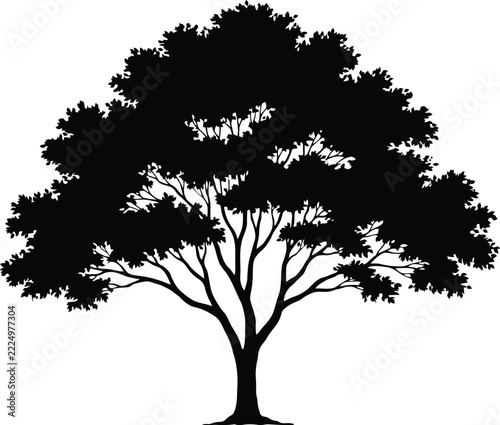 Tree icon vector depicting deciduous forest foliage