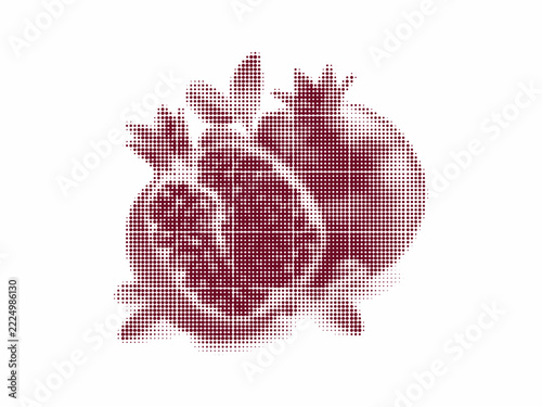 Abstract halftone pattern of a pomegranate fruit on a white background a modern botanical illustration for design projects